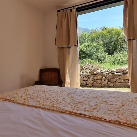 Villa Bergerie Baracco Argia, Piscine, Maquis Et Tradition Corse Pour 6 Personnes Barbaggio