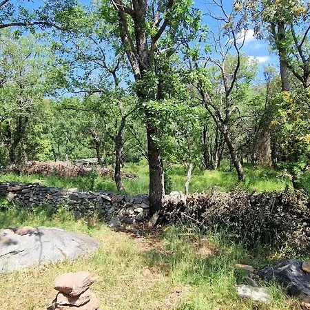 Bergerie Baracco Argia, Piscine, Maquis Et Tradition Corse Pour 6 Personnes Vila