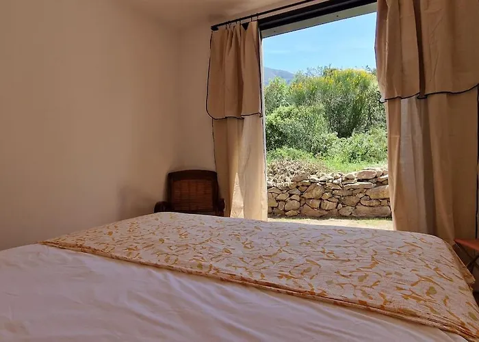 Vila Bergerie Baracco Argia, Piscine, Maquis Et Tradition Corse Pour 6 Personnes Barbaggio